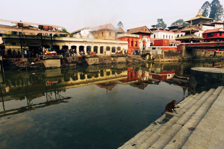 pexels-photo-13746893