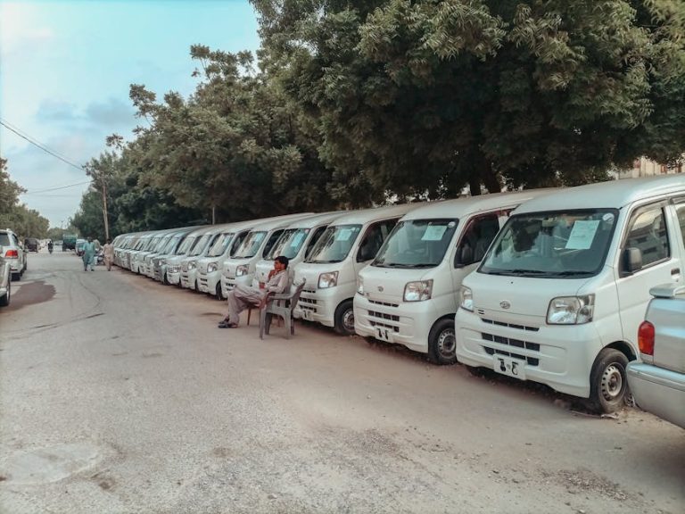 pexels-photo-14203407