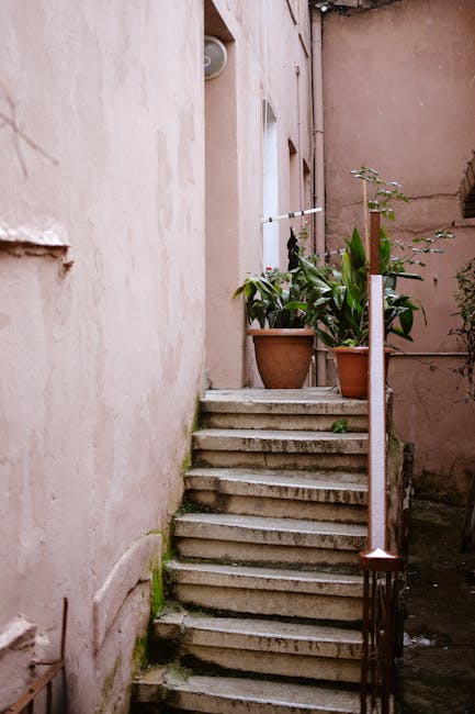 pexels-photo-19952232