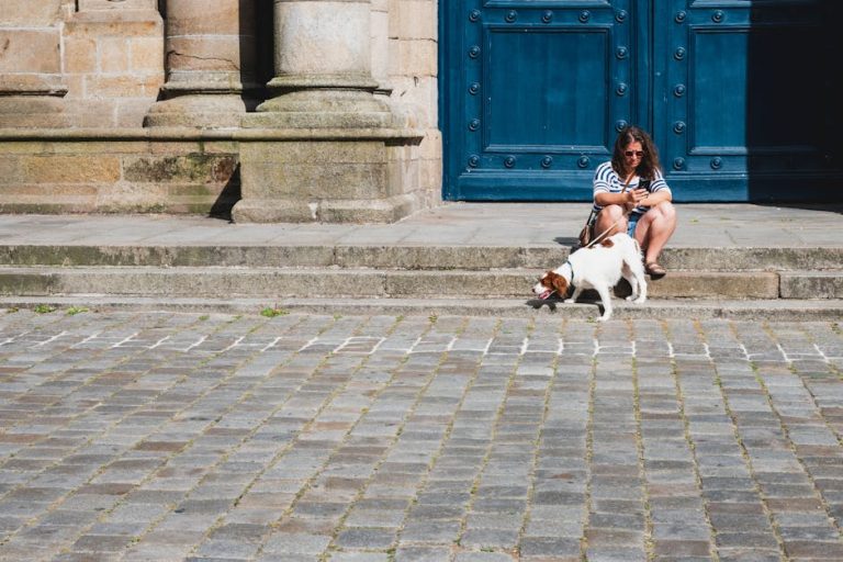 pexels-photo-27873062