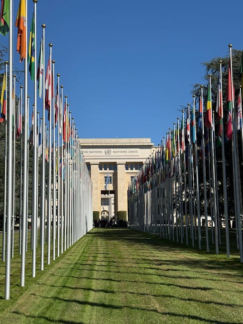 pexels-photo-33984560