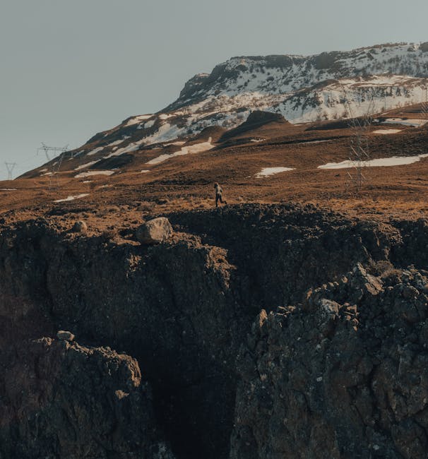 pexels-photo-6778616